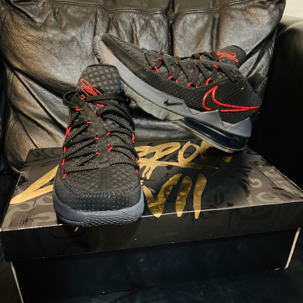 Lebron 17 Size 9.5